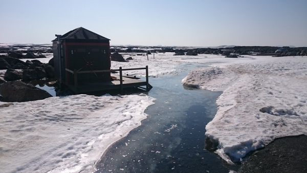 Dettifoss,