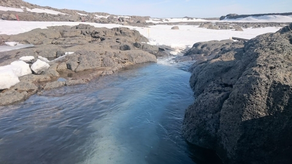 Dettifoss,