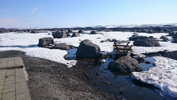 Dettifoss,