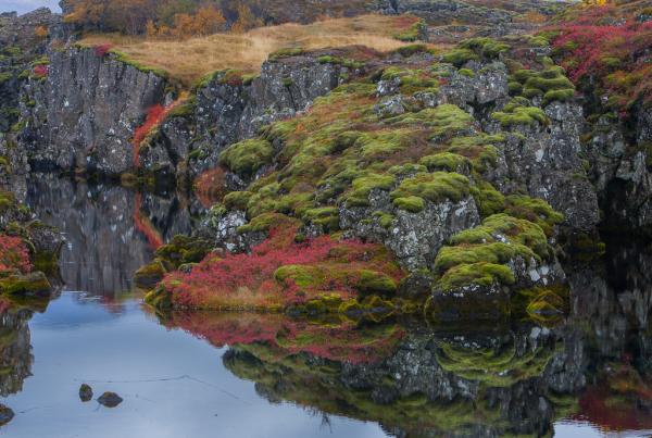 Þingvellir.jpg