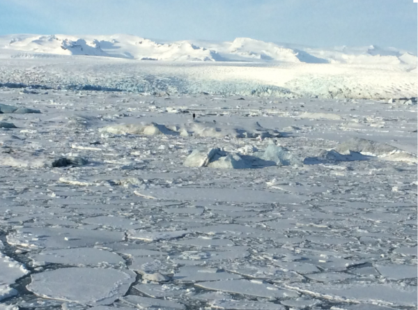 Jökulsárlón Jökulsárlón