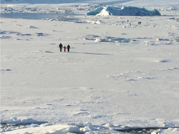 Jökulsárlón Jökulsárlón
