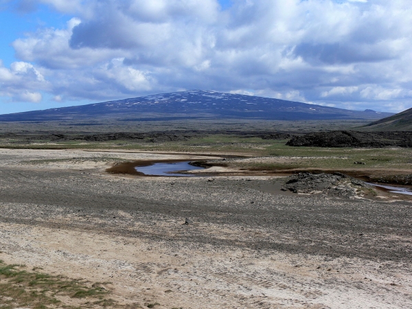 Skjaldbreiður