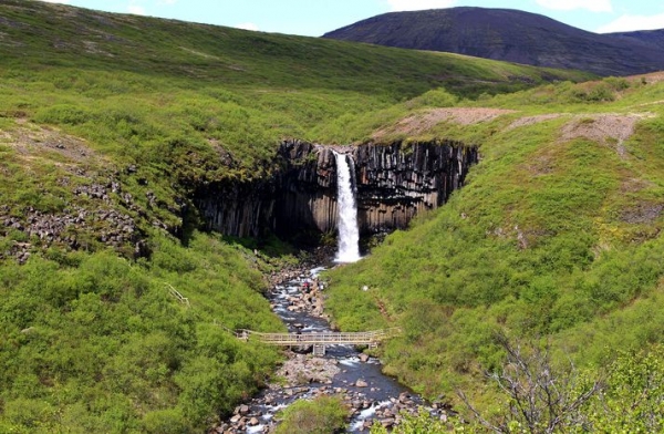 Svartifoss